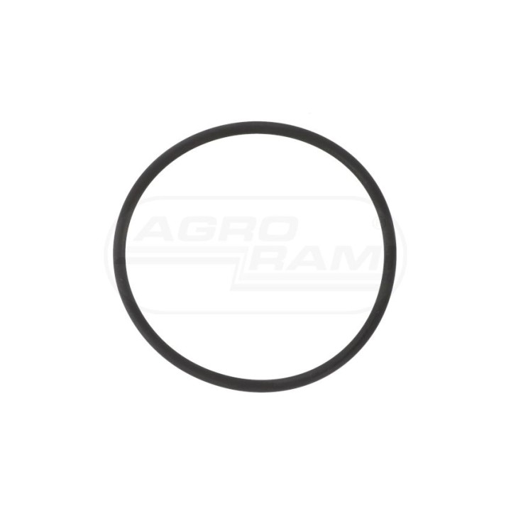 Oring 1442483X1