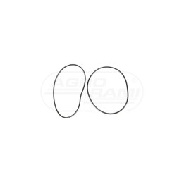 O-ring 14461480, 238-5156, A190449, 22283R1 McCormick