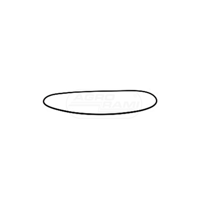 O-ring 70925457 Case IH