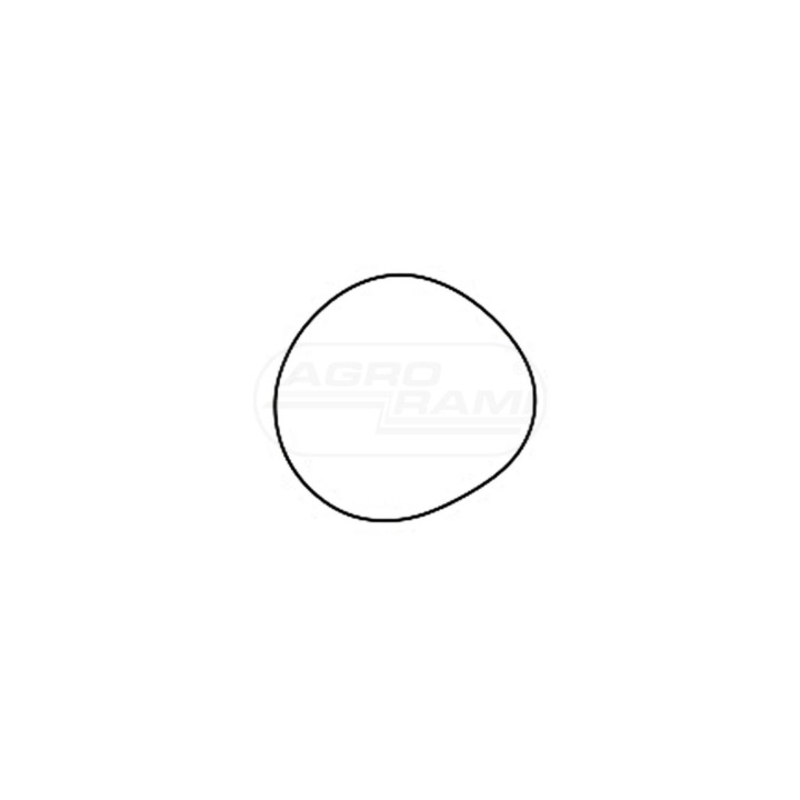 O-ring 70925457 Case IH