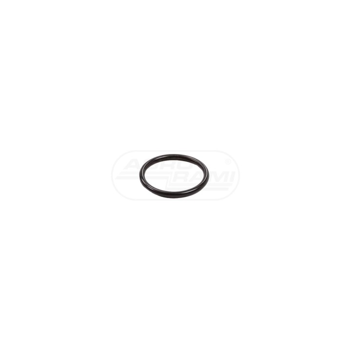O-RING 14438285 Case IH