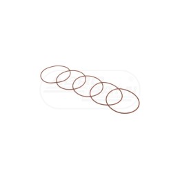 O-ring 17291781, A45991, 75206699, 70934747 Case IH