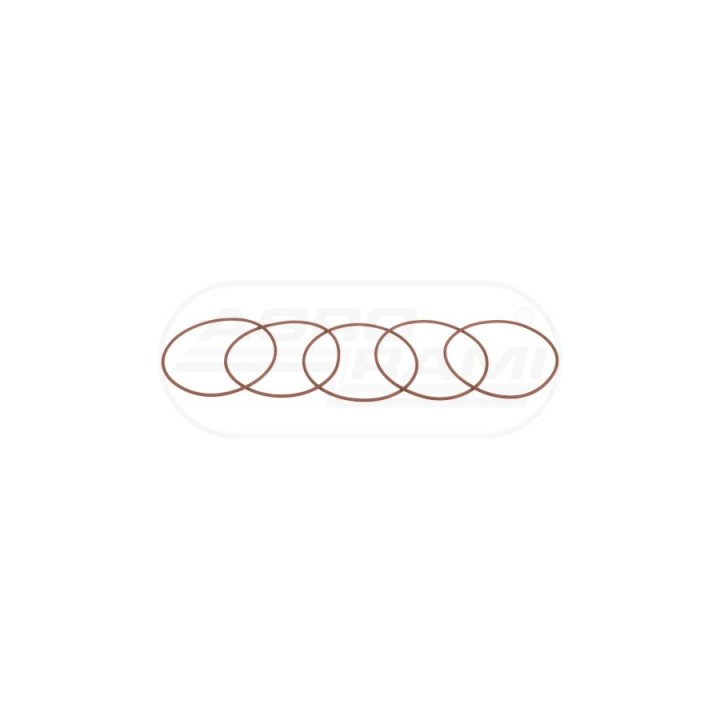 O-ring 17291781, A45991, 75206699, 70934747 Case IH