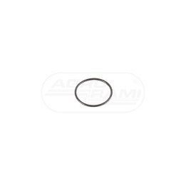 Pierścień ORING 3010501X1 , 6005019383
