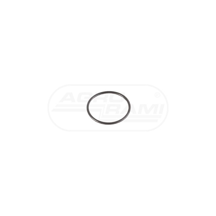 Pierścień ORING 3010501X1 , 6005019383