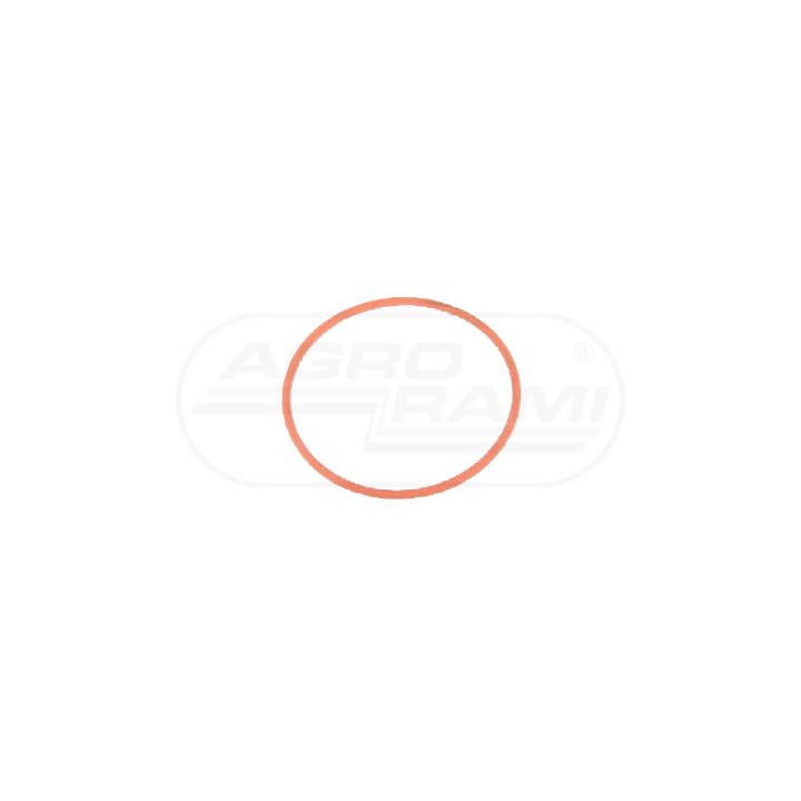 O-ring CNH 17284481, ##, 238-7141, 14459981 Case IH