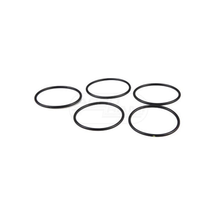 O-ring 17283680, 14459181 Case IH