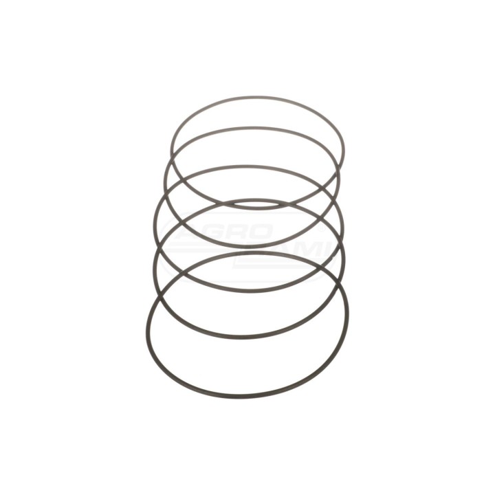 O-ring 9828498, ##, 1975518C3, 48108921 Case IH