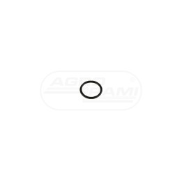 Pierścień ORING 25X21 974392 974253 Zetor