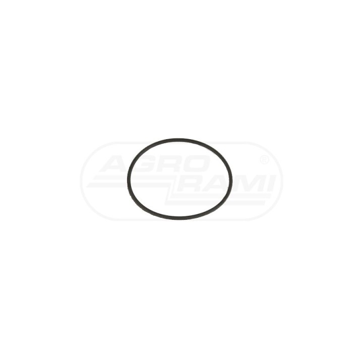 Oring  63,17x2,62 365801X1 , 6299-5