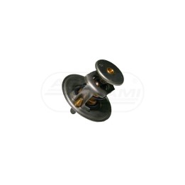 Termostat  1447384M1, 2485605, 2485613