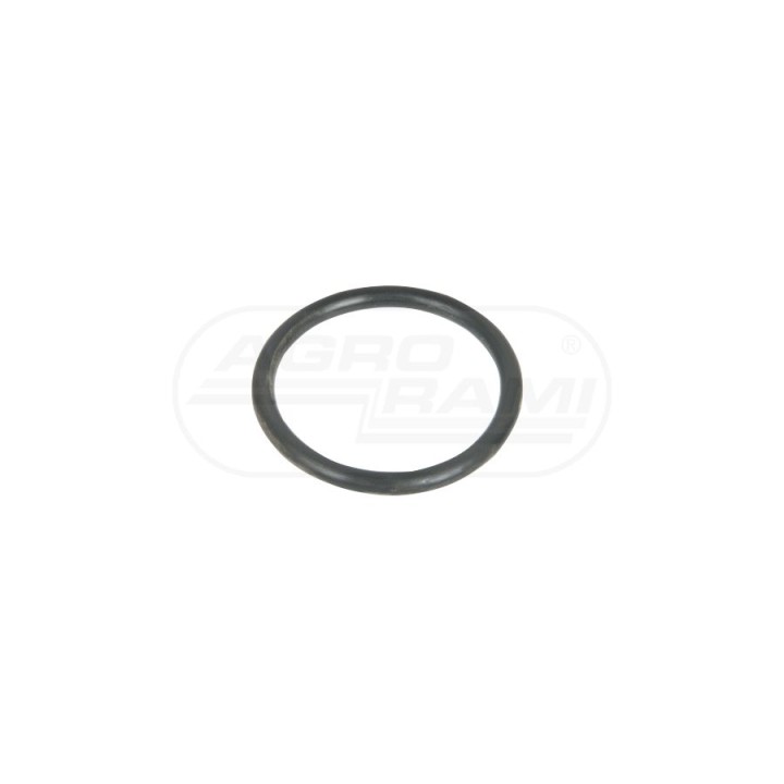 Uszczelka 38x4  221391 AP210R Agroplast