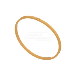 Pierścień skrzyni 1286052C1, ##, 87773324 Case IH
