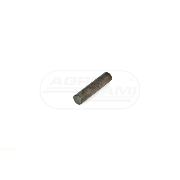 Kołek walcowy DIN-7  10m6x45 80277027