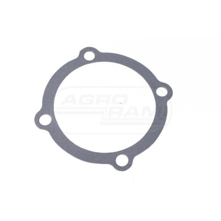 Uszczelka tylnego mostu - paczka 10 sztuk 80153047 POLGASKET