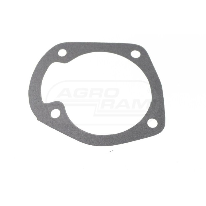 Uszczelka pompy wody - paczka 10 sztuk 80017012, 0822860 MORPAK