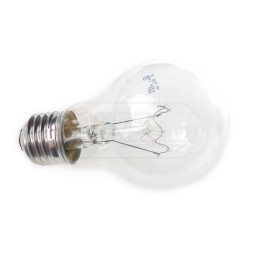 Żarówka przezroczysta E27 220/230V 100W 220/230V100WE27