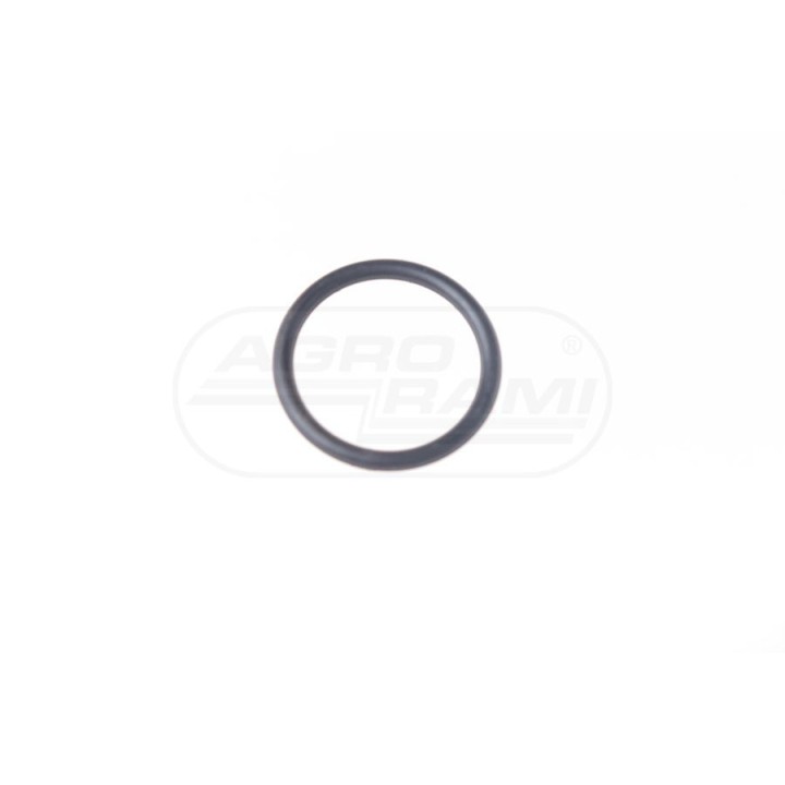 Pierścień  Oring 20,3x2,4/K