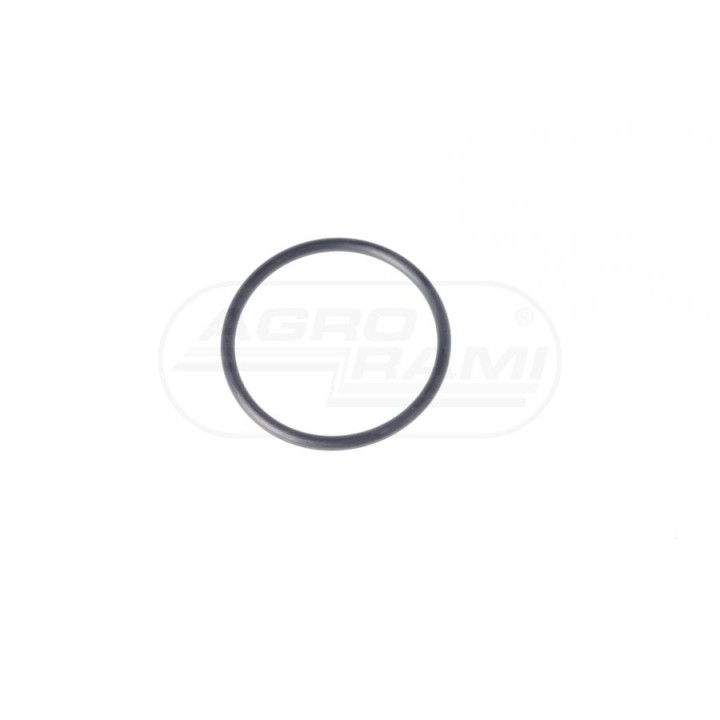 Pierścień O-ring 36,17x2,62 195876M1