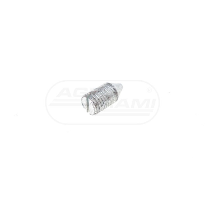 Wkręt M8x1 54221005, 50001250