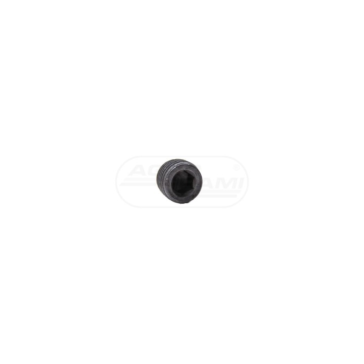 Wkręt M10x1 50005590, 80003012, 950301