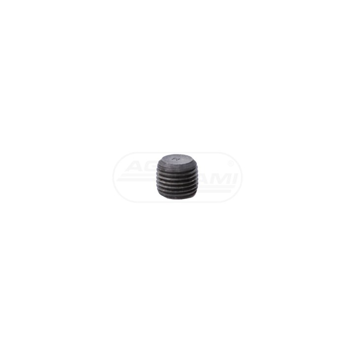 Wkręt M10x1 50005590, 80003012, 950301
