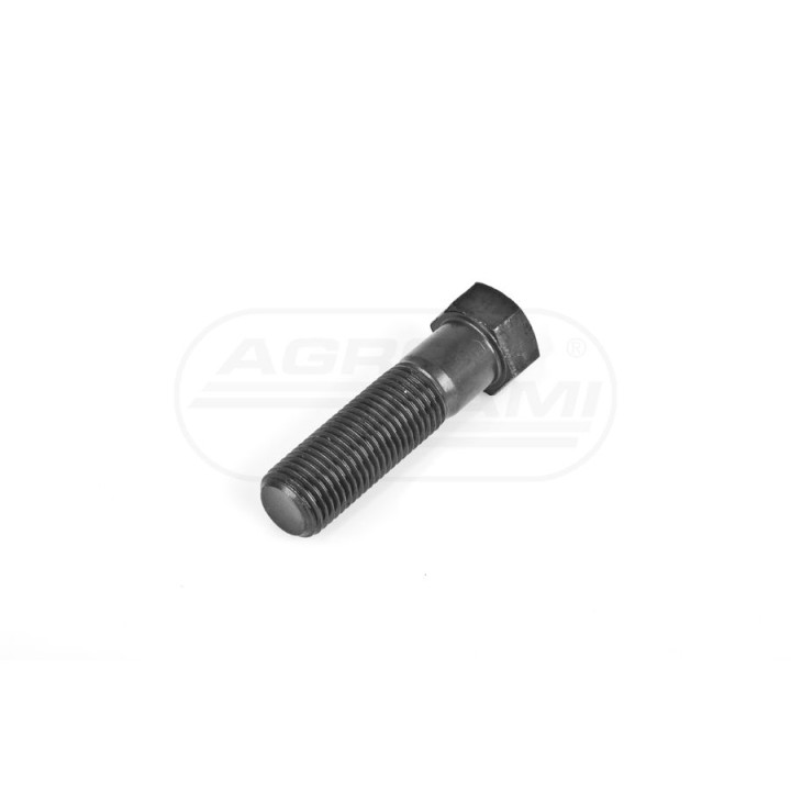 Śruba przeciwwagi M14x1,5x50 50403100