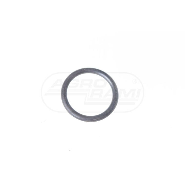 Pierścień O-ring 19x2,5 1888762M1