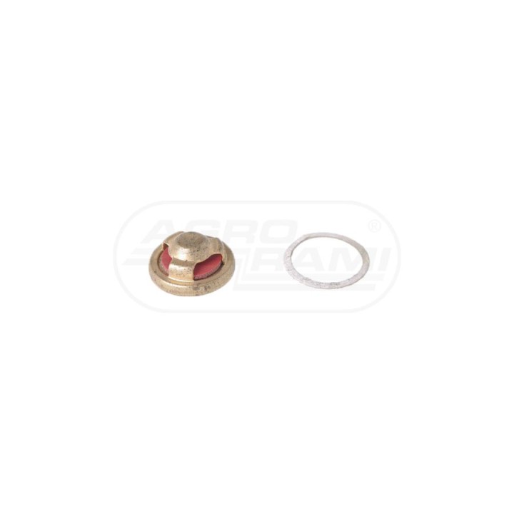 Zaworek pompy kpl. 5593866