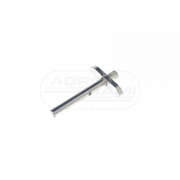 Wałek kpl R846274/M