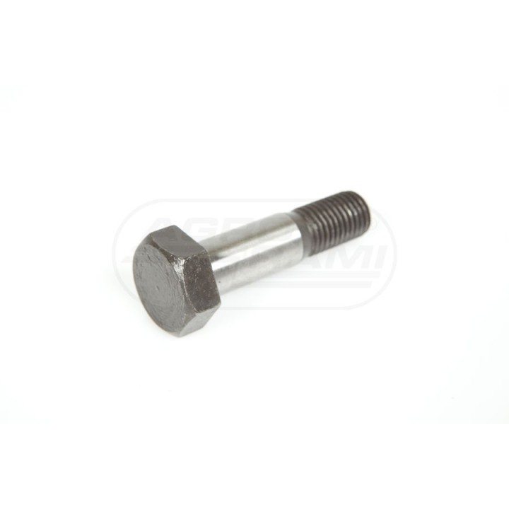 Śruba M16x65-10G