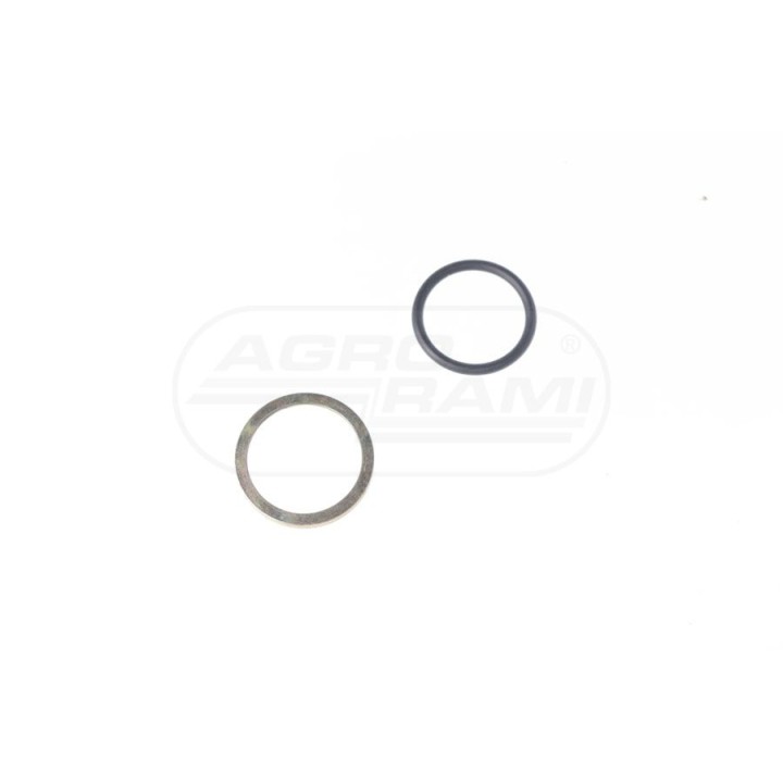 Pierścień oporowy+ oring fi 22 Pierś+oring fi 22