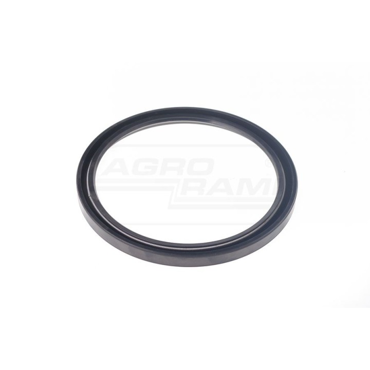 Uszczelniacz 170x200x15