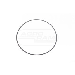 Pierścień  Oring 100x2