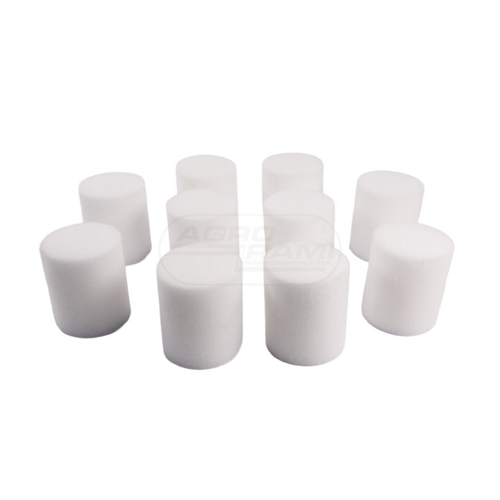Gąbki czyszczące D 46,5/40 fi 60mm. 95921546 paczka AMIR