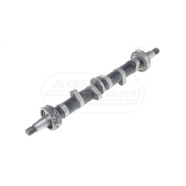 Wałek krzywk.pompy SW-400 P226101