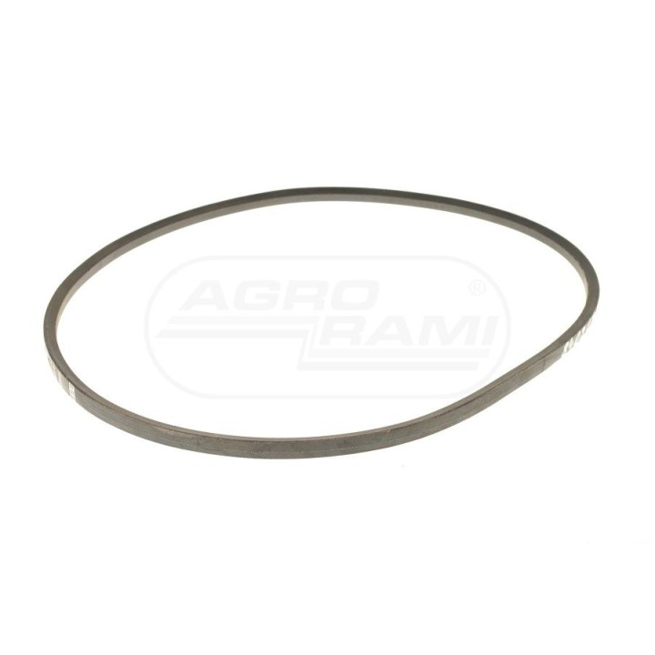 Pasek AGRO-BELTS CA22534