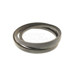 Pasek AGRO-BELTS Z38698