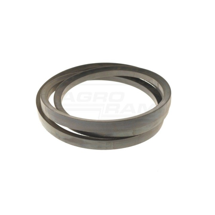 Pasek AGRO-BELTS Z38698