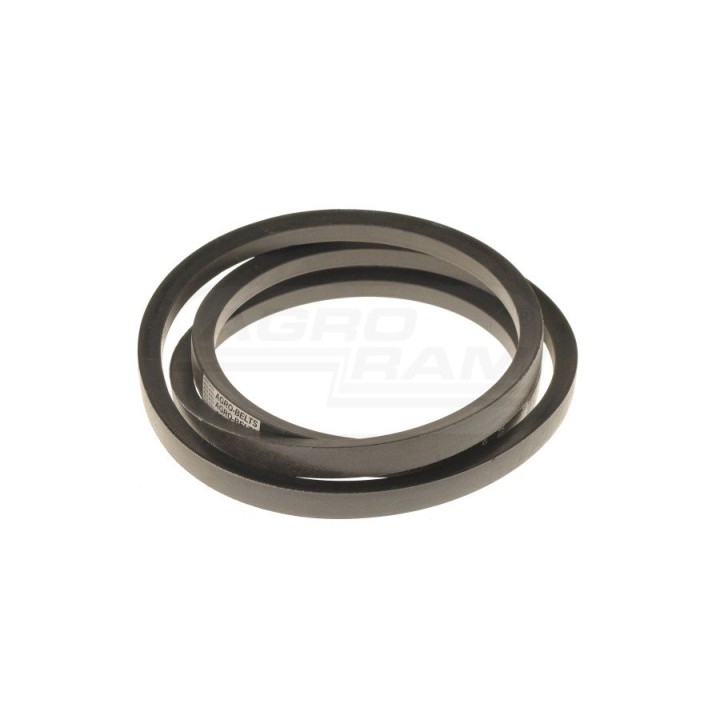 Pasek AGRO-BELTS Z47911