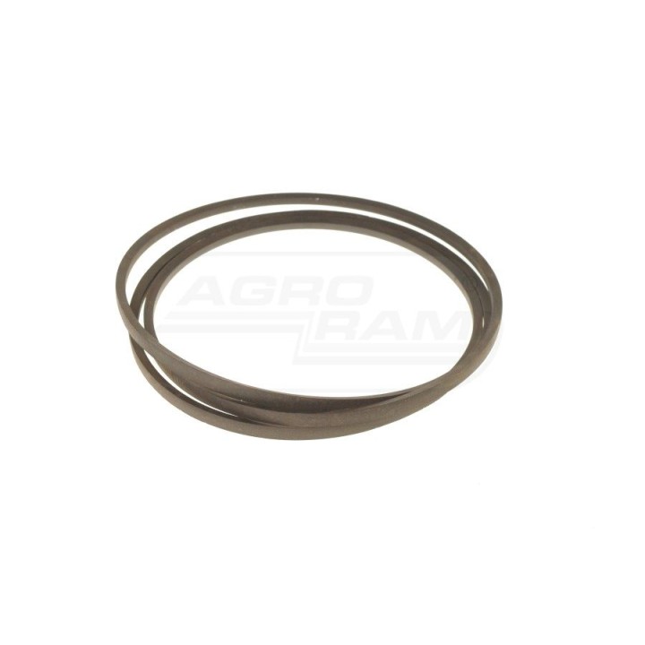 Pasek Z46764