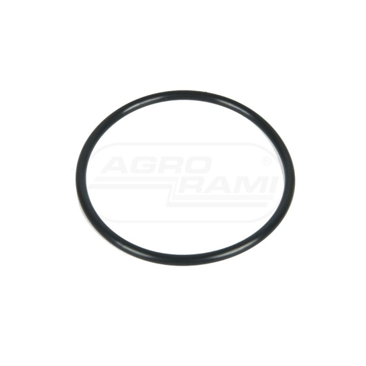 O-ring 3426821M1