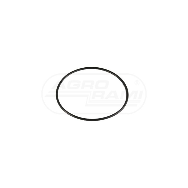Uszczelka  22/37-9 ,28/37-7  112x4mm 7701017949 , 6005003706, F385200210030, Bepco