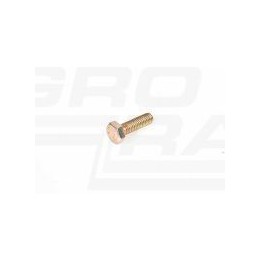 Śruba nożyka kosy M6X20 120100, ##, A933869, 1273718C1 Case IH