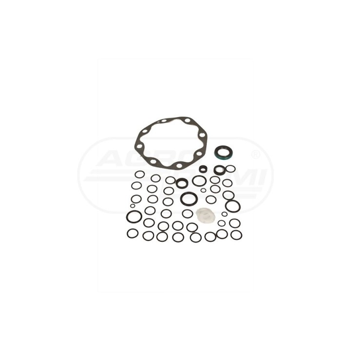 Kpl.uszczelek.26/621-15 AR39156,AR98993 Bepco