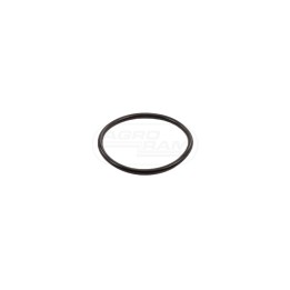 Oring 272219 Case IH