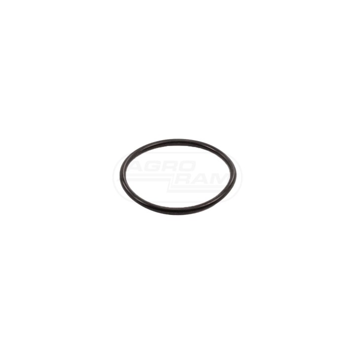 Oring 272219 Case IH