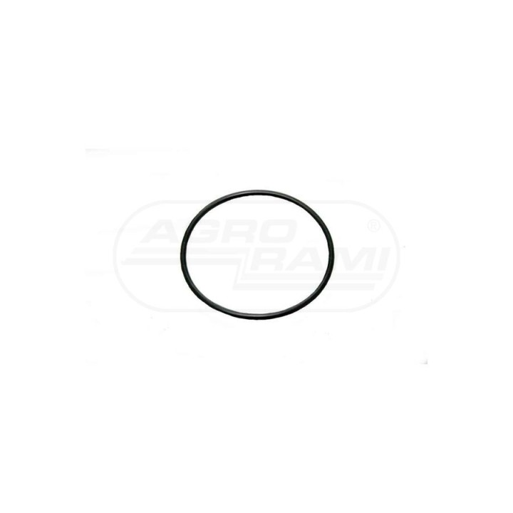 Pierścień oring.30/305-23 1610254M1 Bepco