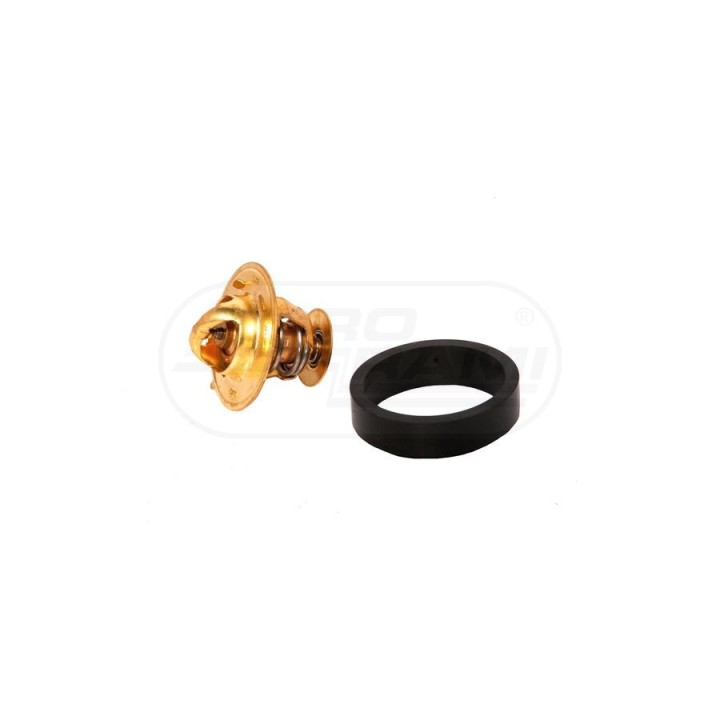 Termostat.25/143-44 J906700,J906700,A77736,47616858 Bepco