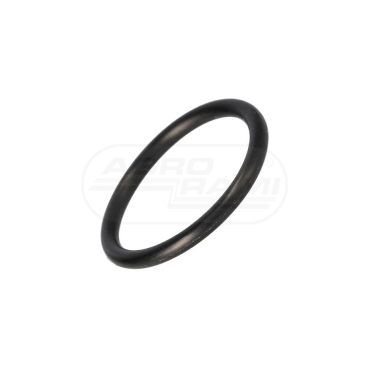 Oring T102297 Case IH